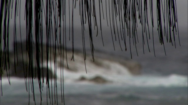 波浪冲击着多岩石的海岸。视频素材