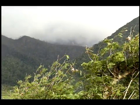 烟雾从蒙特塞拉特火山升起。视频素材