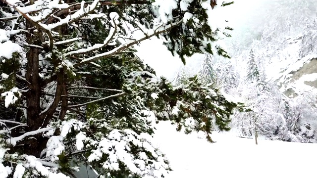 美丽的雪景视频素材