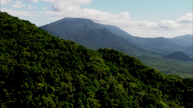 丹特里雨林中郁郁葱葱的山脉高耸于山谷之上。视频素材