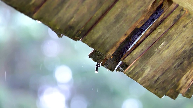 雨水倾泻在房子的木制屋顶上视频素材