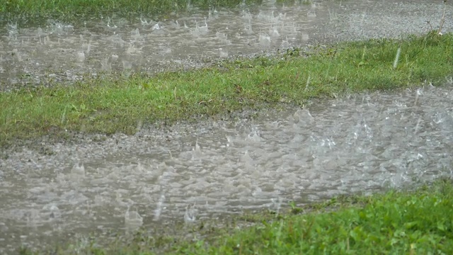 雨滴落在潮湿的地面上视频素材