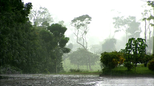 雨倾泻在热带河流和森林里，一个穿雨衣的人走过。视频素材