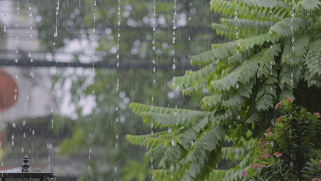 集中雨滴与屋顶。4 k VDO视频素材