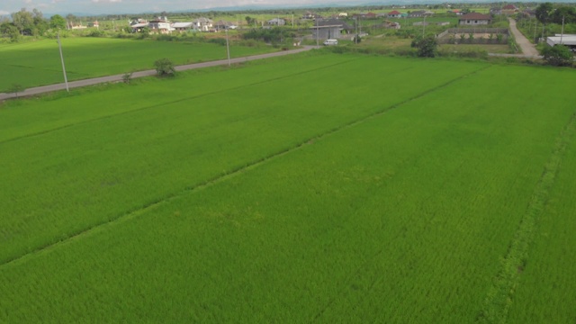 亚洲稻田和汽车经过的道路，无人机拍摄飞行，白天时间，4k分辨率，热带天气，绿色草地的田野视频素材