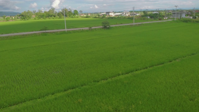 亚洲稻田和道路，无人机拍摄飞行，白天，4k分辨率，热带天气，绿色草地视频素材