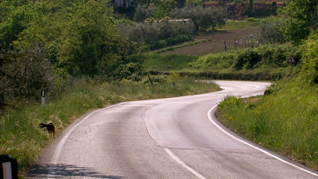 摩托车在蜿蜒的道路上飞驰。视频素材