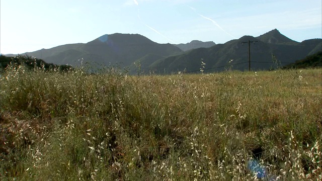 在靠近山的山谷里，杂草随风飘动。视频素材