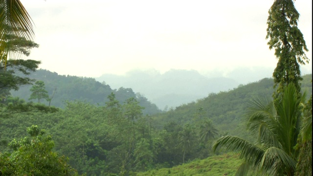 浓雾笼罩着茂密的丛林中的远山。视频素材