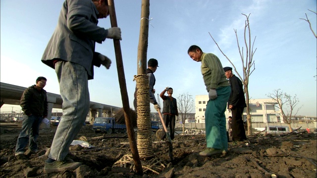 在虹桥机场旁的一个建筑工地，园丁们正在种树。视频素材