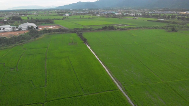 4k无人机拍摄缓慢升高，稻田，影子阳光光，喜怒无常的天空，多云，绿草山视频素材