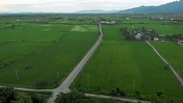 无人机飞过镜头，绿草地，乡村边，东南亚。白天4 k视频素材