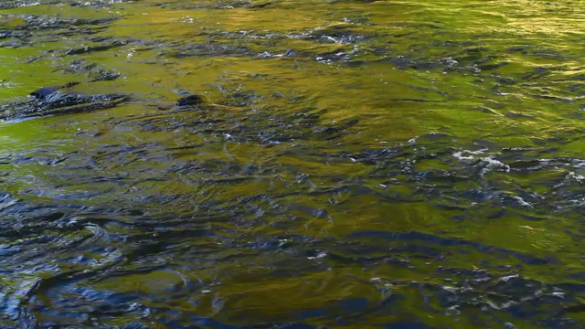 水流河流光视频背景视频素材