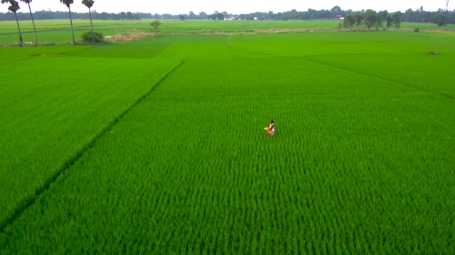 农民给他的耕地施肥视频素材