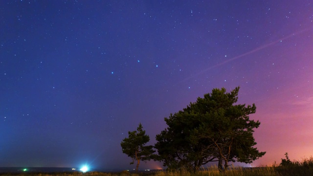 星夜背景下的树视频素材