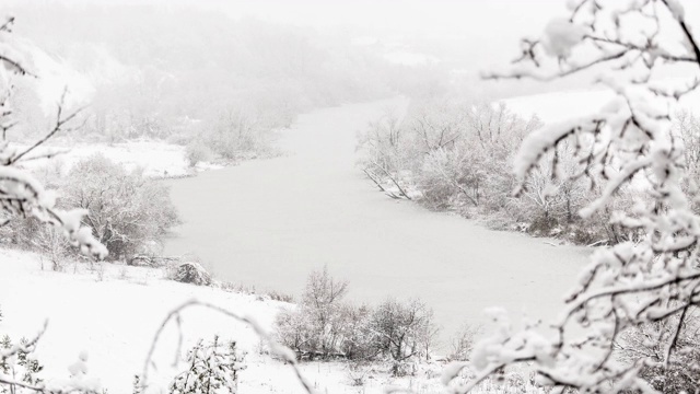 冬季森林。唐河上的暴风雪视频素材