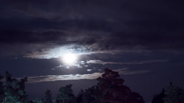 满月在夜空中穿过树木和乌云。间隔拍摄视频素材