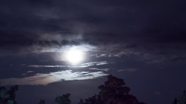 满月在夜空中穿过树木和乌云。间隔拍摄视频素材