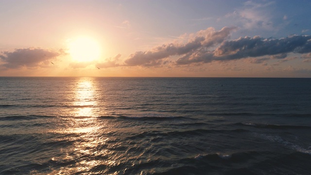 海鸥和日出在海滩上，放松，鼓舞人心的早晨在海浪。视频素材