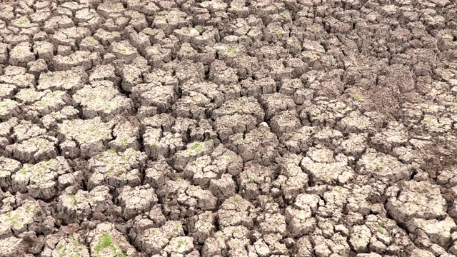 在气候变化、干旱灾害、全球变暖期间拍摄的干燥龟裂的土地视频素材