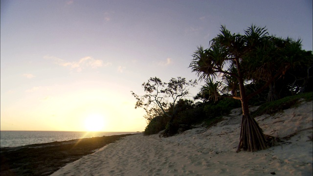 日落时分，苍鹭岛(Heron Island)风景如画的海滩上布满了岩石。视频素材