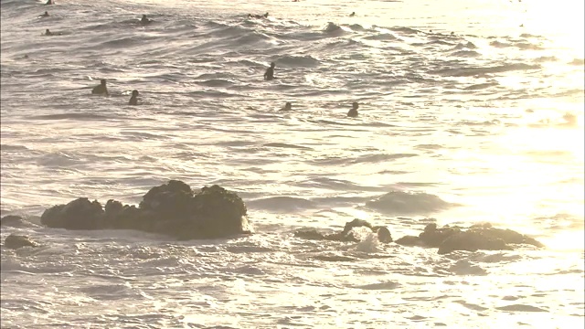 海浪冲刷着一群冲浪者附近的岩石。视频素材