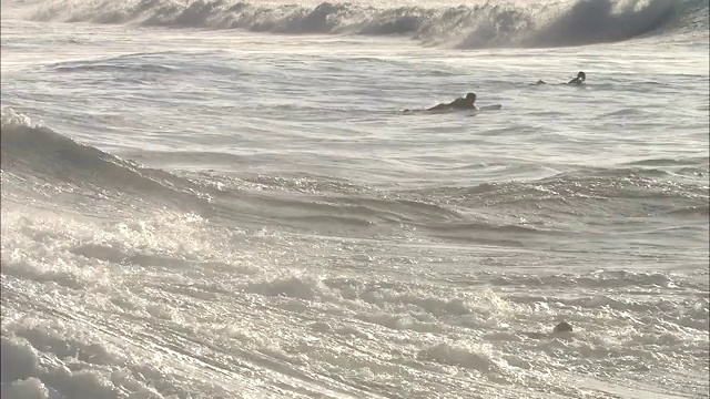 冲浪者在毛伊岛海岸的波浪中冲浪和划桨。视频素材