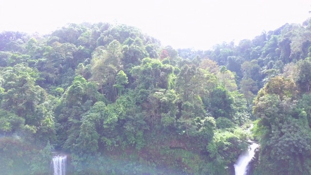 鸟瞰塔德费恩瀑布在热带雨林在Pakse和Champasak市老挝视频素材