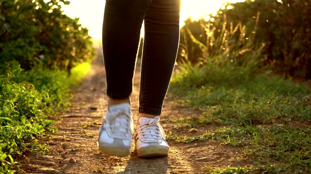 一个女人走在棉花地里的土路上视频素材