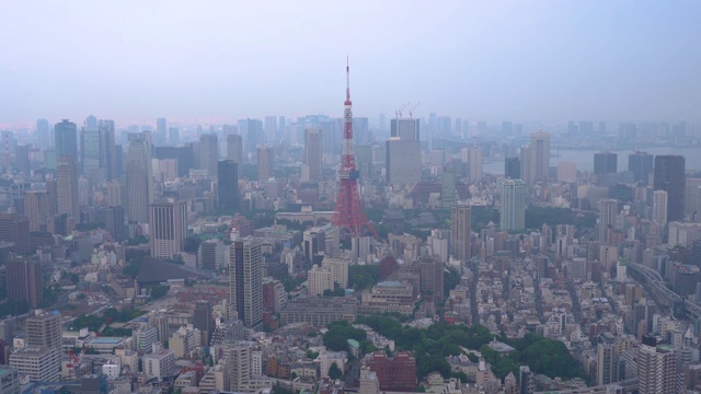 白天鸟瞰图中的东京城市天际线视频素材