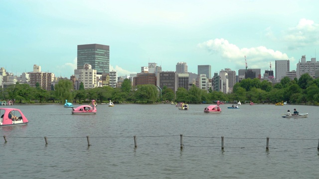 上野公园池塘与船只和建筑物的景色视频素材