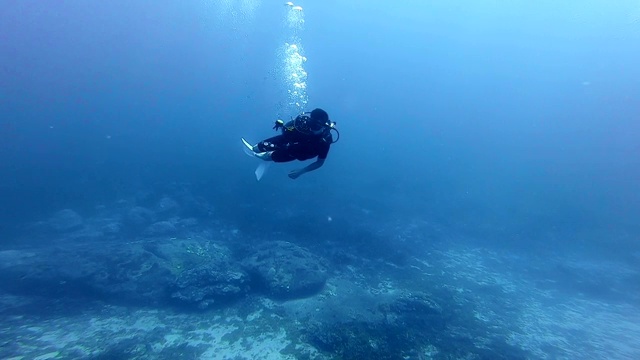 潜水员在清澈的深海中旋转视频下载