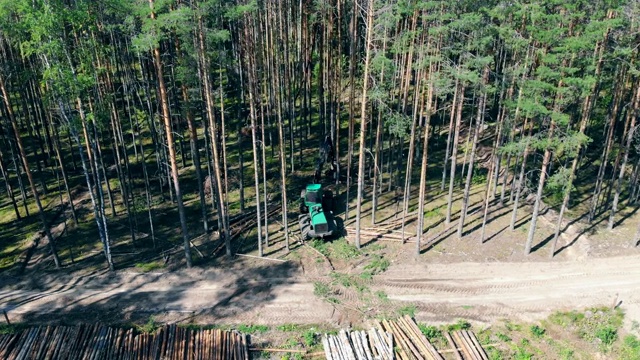 一台拖拉机在森林里和树木一起工作。环境问题砍伐森林，伐木。视频素材