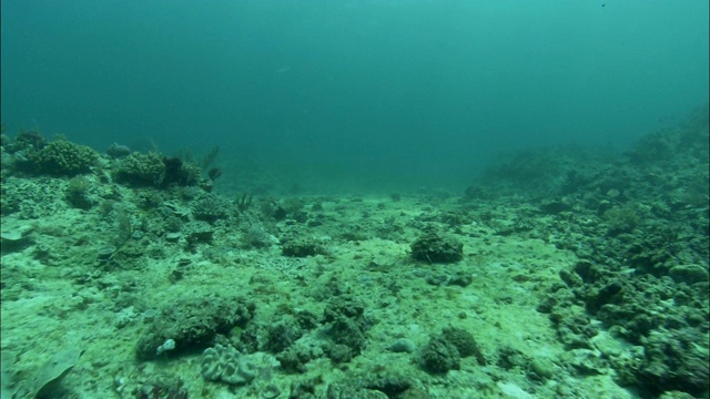 阳光在大堡礁的浅海床上形成斑纹。视频素材