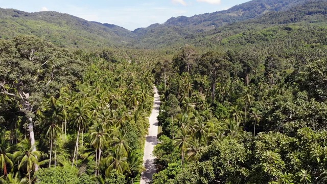 穿过椰子种植园的小路。泰国苏梅岛阳光明媚的日子里，穿过椰子树的公路。无人机的天堂山景观。在绿意中飞翔。森林砍伐。视频素材