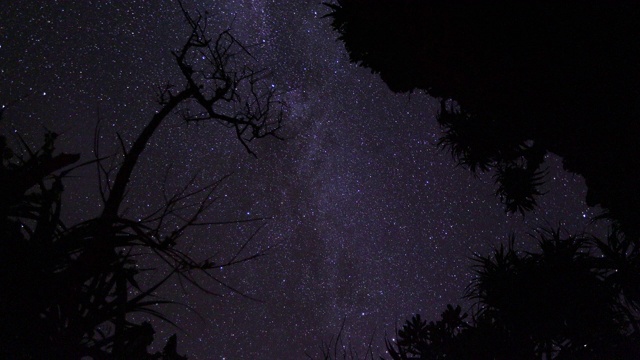 星星在头顶盘旋，日本。视频素材