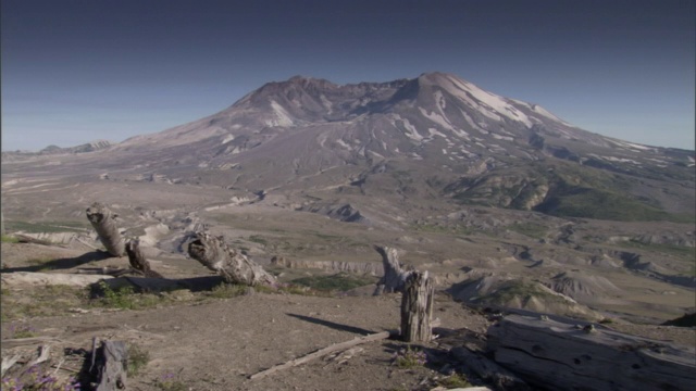 扭曲、参差的树桩覆盖着火山附近贫瘠的土地。视频素材