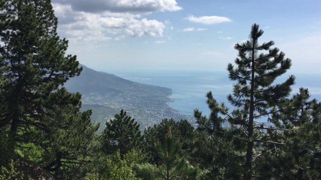 从覆盖着巨大山脉的树林中，可以看到大海、山谷和沿海城镇的全景。视频素材