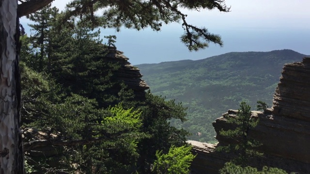 美丽的风景，山谷覆盖着绿色的森林和岩石墙。视频素材