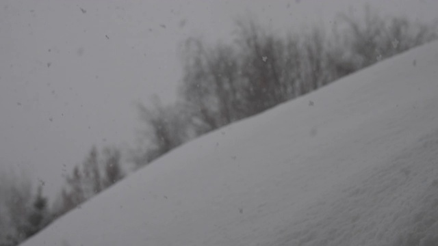 在阴天的背景上落下的雪视频素材