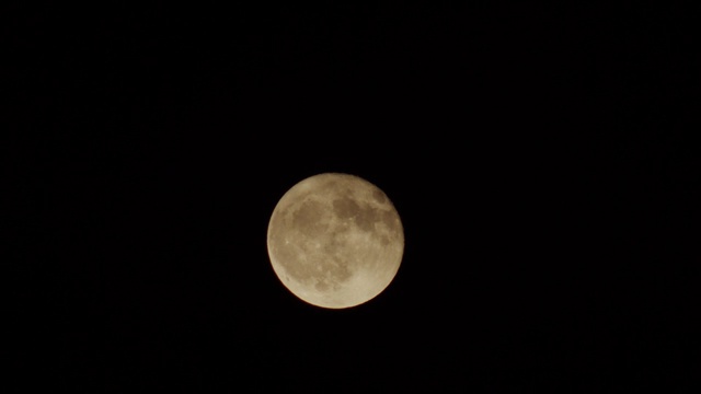 黑色的夜晚，黄色的月亮视频素材