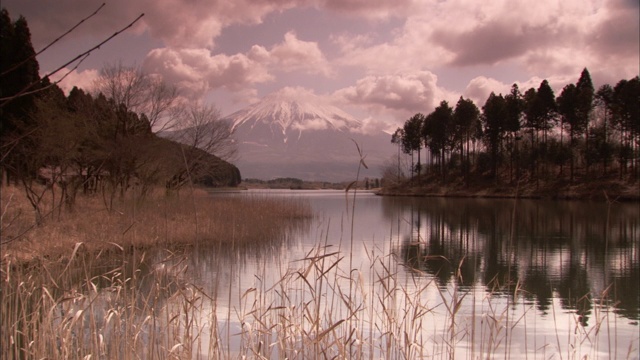 富士山附近的一个湖映照着周围的树木。视频素材