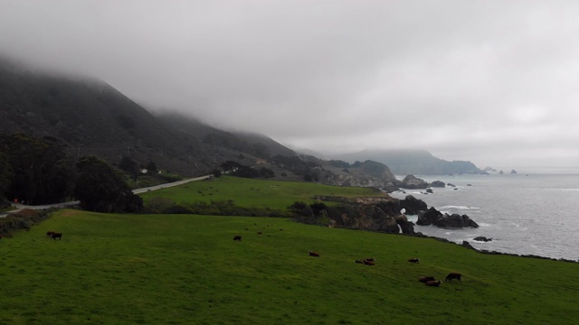 慢慢地走过一片草地，乌云密布，覆盖着靠近悬崖和海洋的山顶视频下载