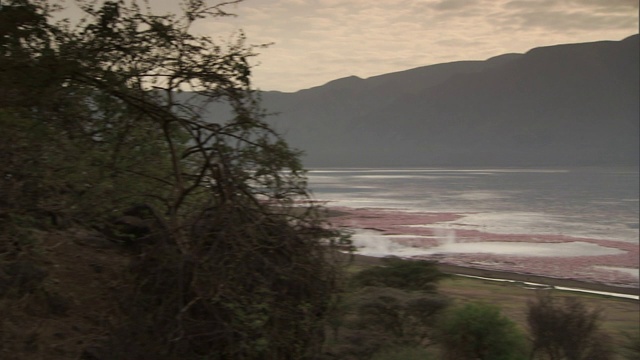 火烈鸟从一个被群山、温泉和间歇泉包围的湖里起飞。视频素材