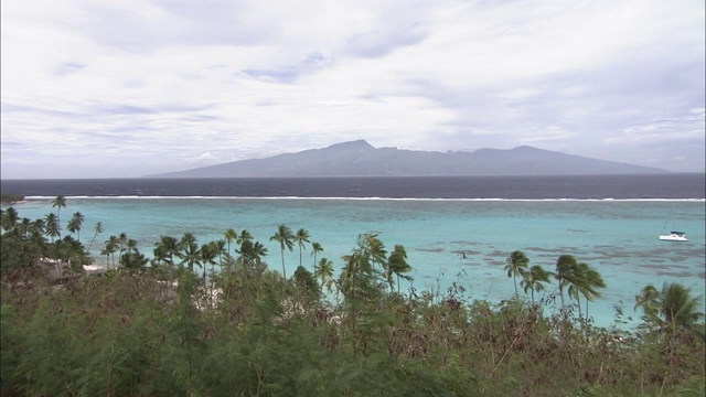 小屋和棕榈树排列在塔希提岛美丽的海滩上。视频素材