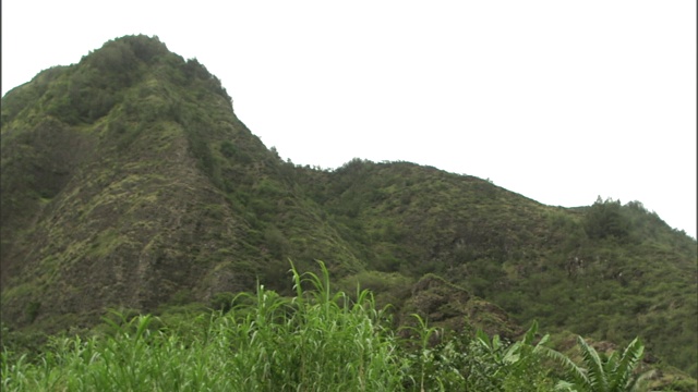 在夏威夷毛伊岛的艾奥山谷，一股瀑布从山下的巨石上倾泻而下。视频素材