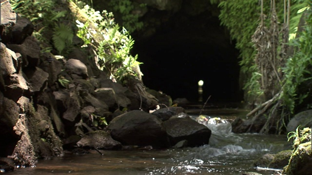 在夏威夷毛伊岛的伊奥山谷，一条小溪从岩石周围的洞穴中流出。视频素材