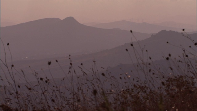 长而干燥的野花在雾蒙蒙的山峦上弯曲摇摆。视频素材