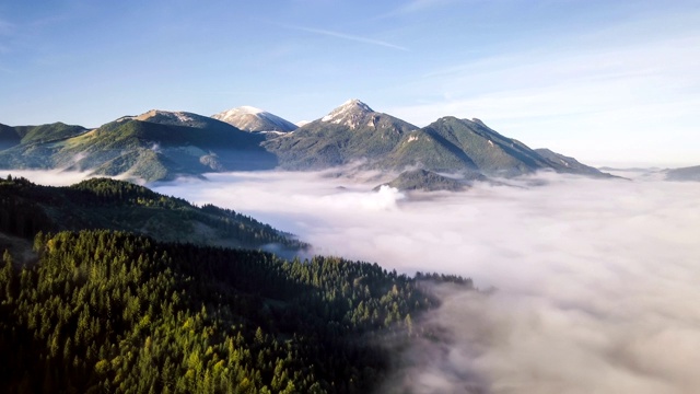 在寒冷的秋天早晨高空俯瞰高山森林自然Hyper lapse视频素材