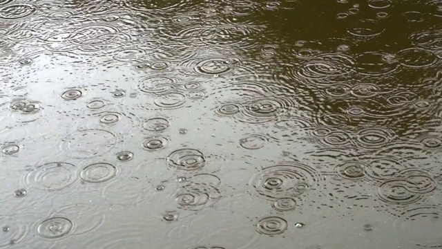 雨水落在水面上视频素材